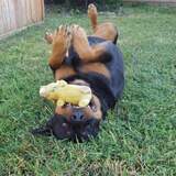 Entry image for Sasha