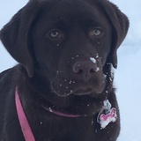 Entry image for Nutella