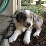 Entry image for shelbie