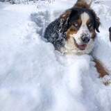 Entry image for Finley 