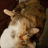 Entry image for Beesley