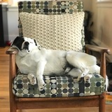 Entry image for Rufus