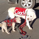 Entry image for Mack and Teddy