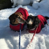 Entry image for Roger, Lola