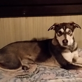 Entry image for Skye