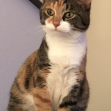 Entry image for Betty White 