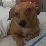 Entry image for Chauncey