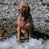 Entry image for Quin