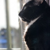 Entry image for Nevaeh