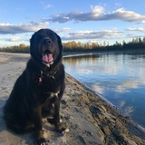 Entry image for Maggie