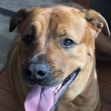 Entry image for Titan