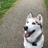 Entry image for Marleau