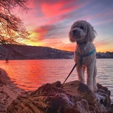 Entry image for Finn