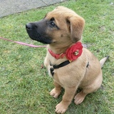 Entry image for Winter