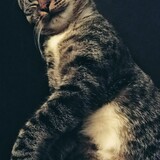 Entry image for Bugaboo