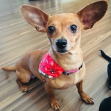 Entry image for Lucy Lu