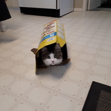 Entry image for Olivia 