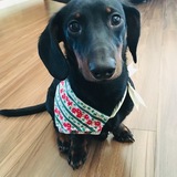 Entry image for Arlo Winston