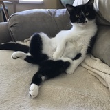 Entry image for Daisy