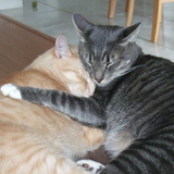 Entry image for Buddy and Trout