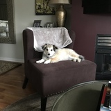 Entry image for Missy