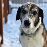 Entry image for Askem