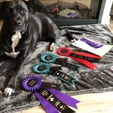 Entry image for Cali