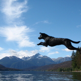 Entry image for Keesha