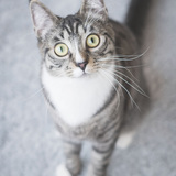 Entry image for Molly