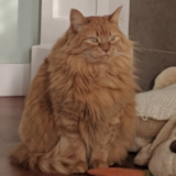 Entry image for Violet