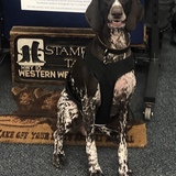 Entry image for Indiana