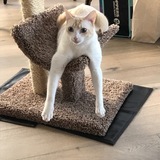 Entry image for Skye