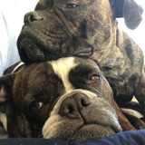 Entry image for Angus and Fiona 