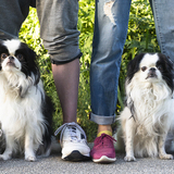 Entry image for Hana and Kendo