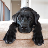 Entry image for Colbie