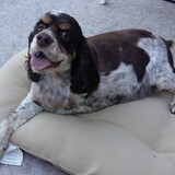 Entry image for Toby McFee