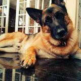 Entry image for Zach