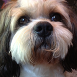 Entry image for Boobie