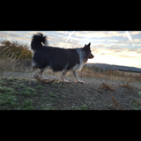 Entry image for Woody B Chooglin