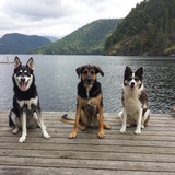 Entry image for Ruca, Dexter and Kacy