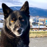 Entry image for Mylie