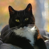 Entry image for Zach