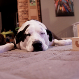 Entry image for Kiara