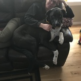 Entry image for Bubba