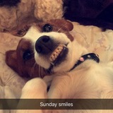 Entry image for Scarlet O’hara