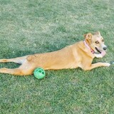 Entry image for Zoey