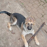 Entry image for Latte