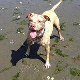 Entry image for Mercedes