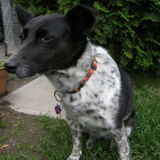 Entry image for Teki