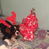 Entry image for Chloe